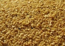 آقایان با خوردن این صبحانه هرکول می‌شوند