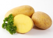 صادرات سیب زمینی، مرهم درد کشاورزان