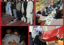 استقبال از زوار حسینی در زائر سرای امام رضا(ع)