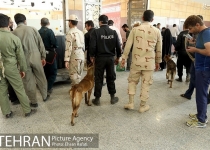 عکس/ سگ‌های بمب‌یاب در مرز شلمچه