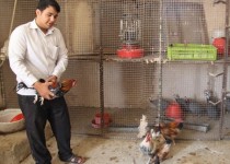 اشتغالزایی برای6نفر، دستاورد کارآفرین 21 ساله زاهدانی/در اقدام به خواسته ها باید عزم را جزم کرد