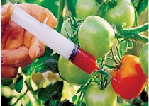 دو شرط وزارت بهداشت برای صدور مجوز به محصولات تراریخته/فقط سویا و ذرت مجوز واردات تراریخته دارند