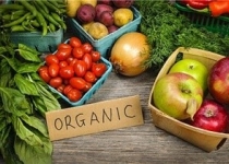 در بودجه سال آینده خبری از محصولات ارگانیک نیست