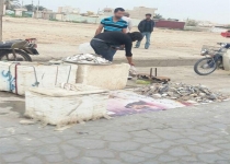 فروش آزادانه آبزیان حرام گوشت در کف خیابان+ عکس