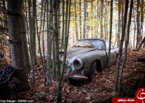 گران قیمت‌ترین خودرو فرسوده +تصاویر