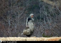 بحران پناهجویان در سال 2016