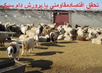 توسعه دامداری با تسهیلات اقتصاد مقاومتی/ اشتغالزایی برای3 نفر در سوران/ 3میلیون تومان سود دستاورد همت دانشجوی بسیجی در یکسال