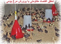 اقتصاد مقاومتی شاه کلید حل مشکلات/ بهینه سازی مصرف انرژی ابتکار کارآفرین سورانی در جنوب شرق