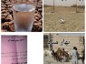 محرومیت های زاهدان قدمتی 100 ساله دارد/ 28 سال چشم انتظاری برای داشتن پارک محله ای/ زمین فوتبال، هدیه مسئولان شهرداری به اهالی منطقه امیرکبیر
