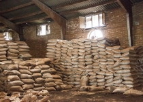 عرضه چای کهنه و فاسد به بازار چقدر صحت دارد؟