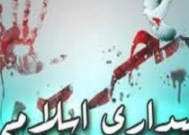 نقش موثر بانوان در شناسایی نقشه های دشمن/ بانوان سراوان حضور گسترده ای در جامعه دارند