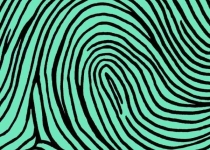 شخصیت شناسی جالب با اثر انگشت شما+تصاویر