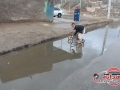 گزارش تصویری/ آبگرفتگی معابر در زاهدان
