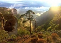 حضرت آدم به چه زبانی سخن می گفتند؟