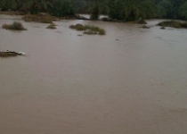 خسارت سیلاب به بخش کشاورزی در جنوب سیستان و بلوچستان+ تصاویر