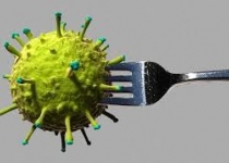 ویروسی مرموز که چاقتان می‌کند