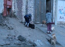 آقایان لطفا چاره ای بیندیشید/ نگرانی شهروندان ادامه دارد