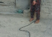 درخواست کمک مادر فداکار نیمروزی در نگهداری فرزندان معلول/ پرداخت حق توانبخشی ناچیز بهزیستی برای نگهداری فرزند معلول نیمروزی