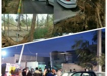 وزش شدید باد قامت 20 درخت کهنسال زاهدانی را شکست/ سقوط تیربرق درخیابان امیرکبیر خسارت به بار آورد