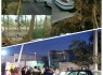 وزش شدید باد قامت 20 درخت کهنسال زاهدانی را شکست/ سقوط تیربرق درخیابان امیرکبیر خسارت به بار آورد