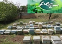 اولویت اصلی بسیج سازندگی اشتغالزایی در مناطق محروم است/ ارائه 16 میلیارد ریال تسهیلات اشتغالزایی در شهرستان دلگان