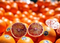 واردات دولتی ۲۵ هزار تن پرتقال از مصر برای شب عید