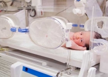 13 میلیون زوج در سن باروری/ افزایش آمار طلاق و کاهش ازدواج در ایران