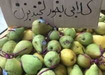 تازه‌ترین میوه دیپلماسی انفعال/ لوکزامبورگ هم اموال ایران را مصادره کرد!