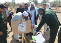 کاشت درخت دوستی و وحدت در سیستان وبلوچستان/ غرس 200 اصله درخت به یاد شهدای شهر در سپاه زاهدان