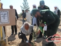 کاشت درخت دوستی و وحدت در سیستان وبلوچستان