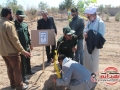 کاشت درخت دوستی و وحدت در سیستان وبلوچستان