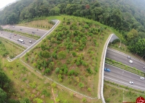 گذرگاه های شگفت انگیز مخصوص عبور حیوانات+تصاویر