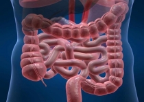 چگونه جاده گوارش را سریع پاکسازی کنيم؟