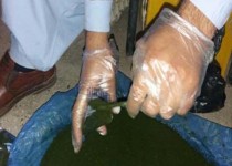 فروش آزادانه مواد مخدر در سوپرمارکت های جنوب شرق!