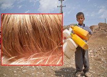 شپش؛ عامل اخراج دانش آموزان یک روستا از مدرسه!