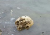 کشف جسد متلاشی شده در آب چاه نیمه!/ مدیر آبفا زهک: کشف جسد در آب، خطری برای سلامت مردم ندارد