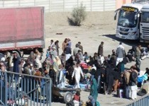 ضربات چماق پلیس پاکستان 7 زائر را راهی بیمارستان کرد