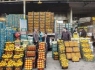 سیب ارومیه و پرتقال جیرفت در سبد نوروزی مردم سیستان و بلوچستان/ توزیع بیش از 700 تن میوه شب عید در استان