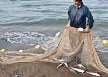 سنگ اندازی در چرخه تولید/ واردات بیش از 6 میلیارد تومان تور ماهیگیری به کشور