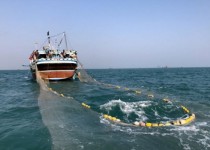 تیرخلاص چینی ها به ذخایر دریایی ایران در چابهار/ صید ترال بلای جان آبزیان/ صیادان به دسترنج حقیقی خود نمی رسند