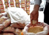 چرخش بازار برنج ایران روی انگشت تاجران هندی و پاکستانی!/ توزیع برنج خارجی برای تنظیم بازار در ماه رمضان