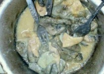 ادعای عجیب «خوردن گوشت گربه توسط مردم سیستان»/ "فقر" عامل افزایش شایعه سازی در جامعه