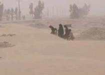 بیش از هزار نفر در سیستان راهی بیمارستان شدند