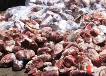 35 هزار کیلوگرم فرآورده خام دامی معدوم شد