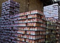 ۱۹۷ تن رب گوجه پیش از خروج از کشور توقیف شد