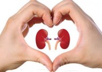 دو عامل که باعث از کار افتادن کلیه می‌شود