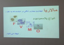 وجود بیماریهای واگیردار مهمترین چالش دانشگاه علوم پزشکی ایرانشهر