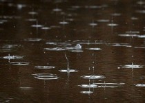 فعالیت سامانه جدید بارشی در سیستان و بلوچستان از اواخر وقت امروز/احتمال جاری شدن روان آب و سیلابی شدن مسیل ها تا روز دوشنبه