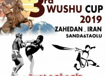 مسابقات بین‌المللی ووشوی جام صلح و دوستی در زاهدان برگزار می شود