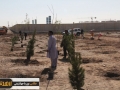 مراسم محوری آغاز غرس 8هزار نهال در بوستان ولایت زاهدان